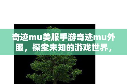 奇迹mu美服手游奇迹mu外服图片