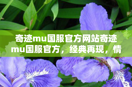 奇迹mu国服官方网站奇迹mu国服官方图片