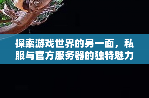私服与官方服务器的独特魅力图片