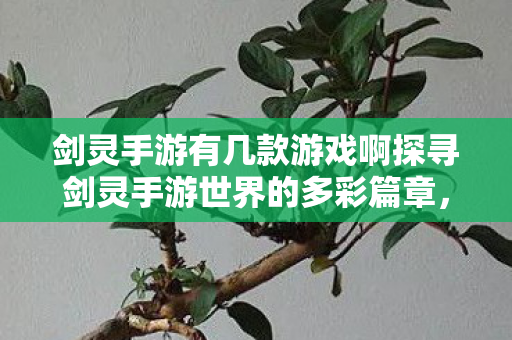 剑灵手游有几款游戏啊探寻剑灵手游世界的多彩篇章，探寻剑灵手游世界的多彩篇章