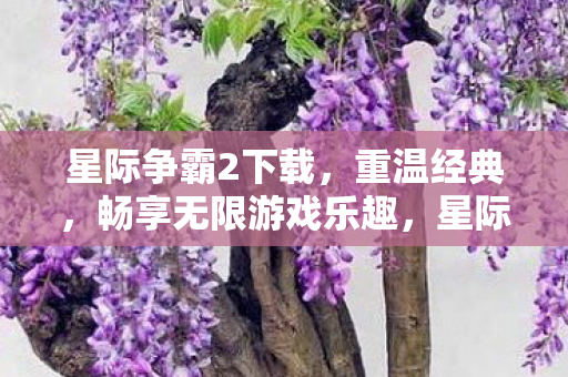 畅享无限游戏乐趣图片