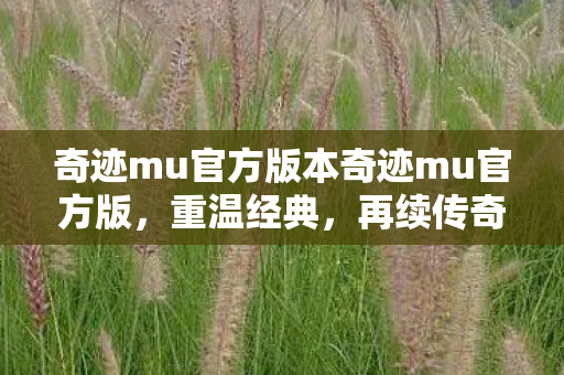 奇迹mu官方版本奇迹mu官方版图片