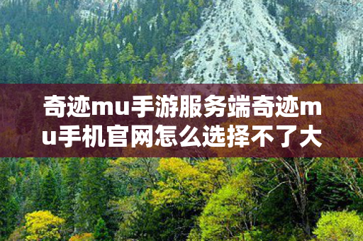 奇迹mu手游服务端奇迹mu手机官网怎么选择不了大区图片