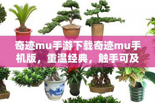 奇迹mu手游下载奇迹mu手机版图片