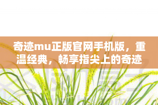 奇迹mu正版官网手机版图片