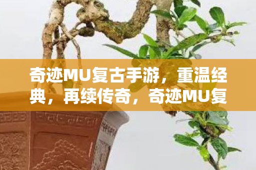 奇迹MU复古手游图片