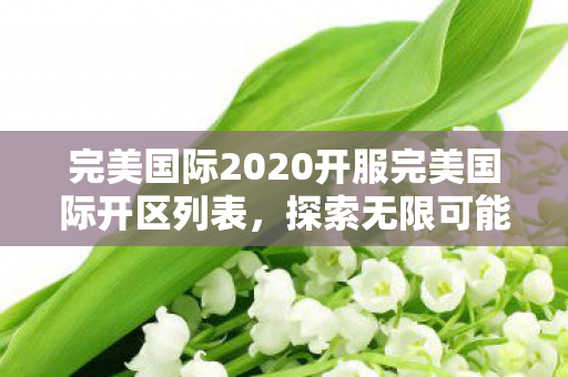 完美国际2020开服完美国际开区列表图片