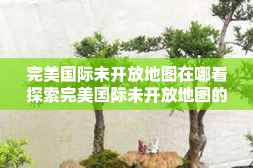 完美国际未开放地图在哪看探索完美国际未开放地图的奥秘图片