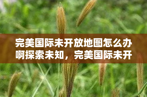 完美国际未开放地图怎么办啊探索未知图片