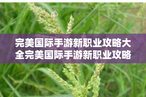 完美国际手游新职业攻略大全完美国际手游新职业攻略图片