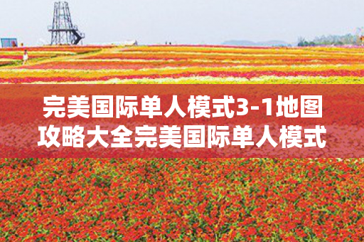 1地图攻略大全完美国际单人模式3图片
