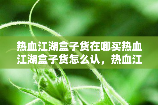 热血江湖盒子货在哪买热血江湖盒子货怎么认,热血江湖盒子货购买与识别指南 热血江湖盒子货在哪买热血江湖盒子货怎么认,热血江湖盒子货购买与识别指南