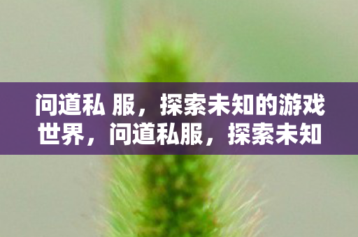问道私 服,探索未知的游戏世界,问道私服,探索未知的游戏世界之旅 问道私 服,探索未知的游戏世界,问道私服,探索未知的游戏世界之旅