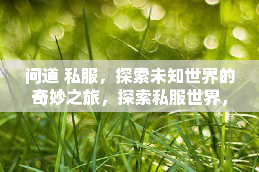 问道 私服，探索未知世界的奇妙之旅，探索私服世界，问道的奇妙冒险之旅