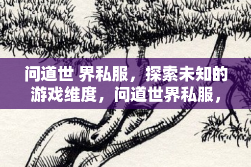 问道世 界私服，探索未知的游戏维度，问道世界私服，探索未知的游戏维度