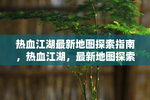 热血江湖最新地图探索指南，热血江湖，最新地图探索全攻略