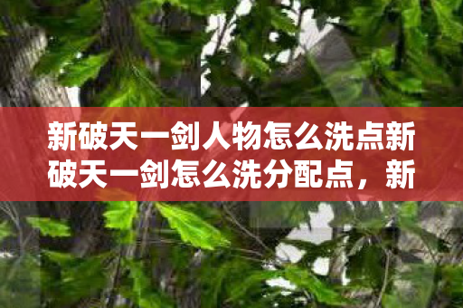 新破天一剑人物怎么洗点新破天一剑怎么洗分配点,新破天一剑人物洗点及分配点攻略 新破天一剑人物怎么洗点新破天一剑怎么洗分配点,新破天一剑人物洗点及分配点攻略