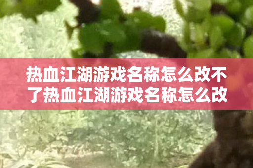 热血江湖游戏名称怎么改不了热血江湖游戏名称怎么改图片
