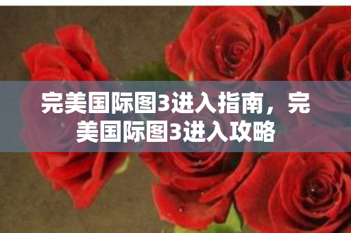 完美国际图3进入指南图片