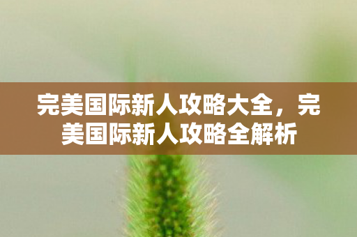 完美国际新人攻略全解析图片