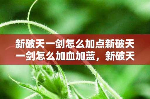 新破天一剑怎么加点新破天一剑怎么加血加蓝,新破天一剑,如何合理加点提升血量和蓝量? 新破天一剑怎么加点新破天一剑怎么加血加蓝,新破天一剑,如何合理加点提升血量和蓝量?