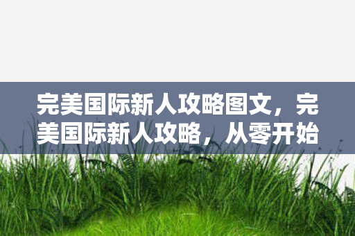 完美国际新人攻略图文图片