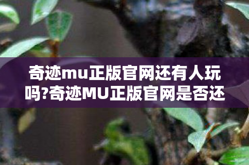 奇迹MU正版官网是否还有玩家活跃图片