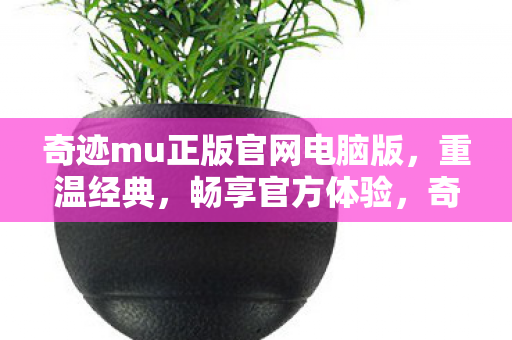 奇迹mu正版官网电脑版图片