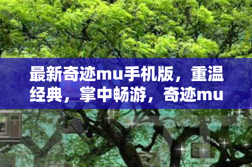 最新奇迹mu手机版图片