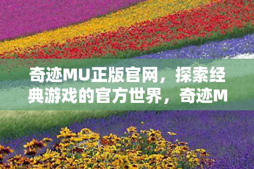 探索经典游戏的官方世界图片