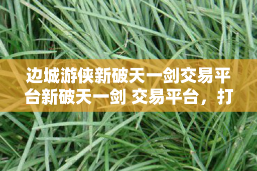 边城游侠新破天一剑交易平台新破天一剑 交易平台图片