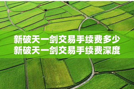 新破天一剑交易手续费多少新破天一剑交易手续费深度解析图片
