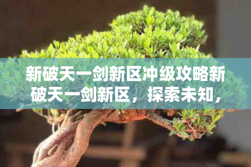 新破天一剑新区冲级攻略新破天一剑新区图片