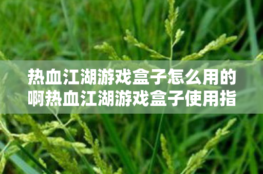 热血江湖游戏盒子怎么用的啊热血江湖游戏盒子使用指南，热血江湖游戏盒子使用指南，轻松玩转游戏助手