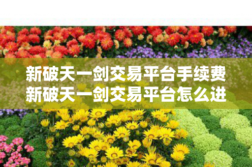 新破天一剑交易平台手续费新破天一剑交易平台怎么进不去图片
