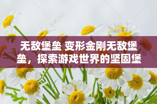 无敌堡垒 变形金刚无敌堡垒图片