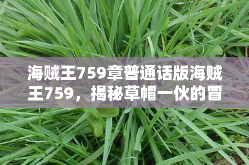 海贼王759章普通话版海贼王759图片
