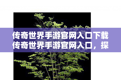 传奇世界手游官网入口下载传奇世界手游官网入口图片