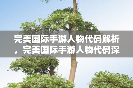 完美国际手游人物代码深度解析图片