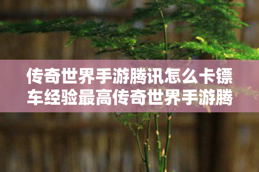传奇世界手游腾讯怎么卡镖车经验最高传奇世界手游腾讯卡镖车经验最大化攻略图片