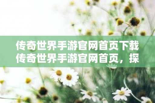 传奇世界手游官网首页下载传奇世界手游官网首页图片