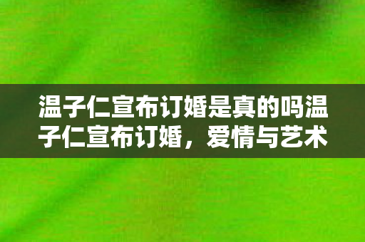 温子仁宣布订婚是真的吗温子仁宣布订婚图片