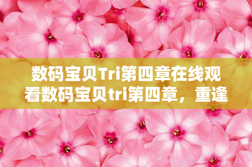 数码宝贝Tri第四章在线观看数码宝贝tri第四章图片