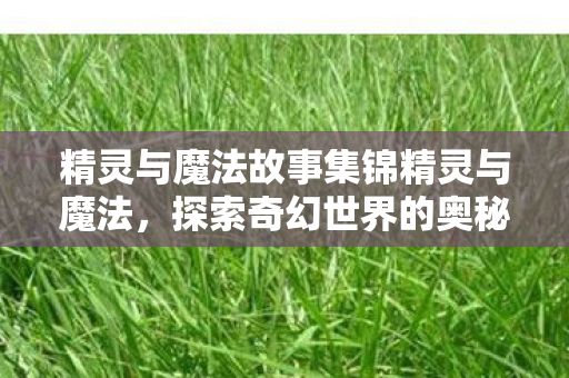 精灵与魔法故事集锦精灵与魔法图片