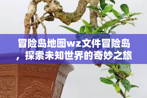 冒险岛地图wz文件冒险岛图片