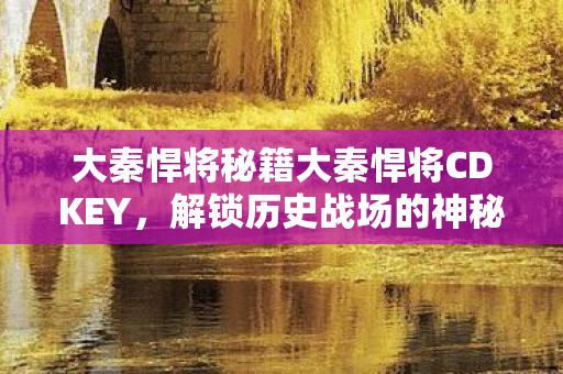大秦悍将秘籍大秦悍将CDKEY图片