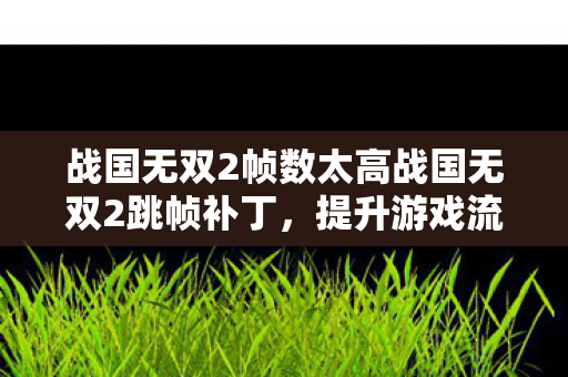 战国无双2帧数太高战国无双2跳帧补丁图片