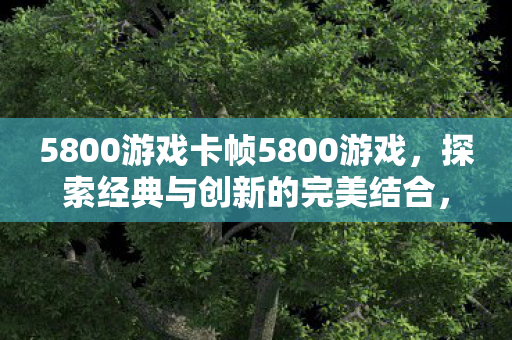 5800游戏卡帧5800游戏图片