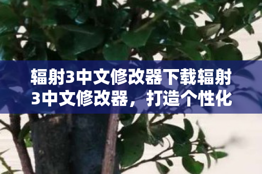辐射3中文修改器下载辐射3中文修改器图片