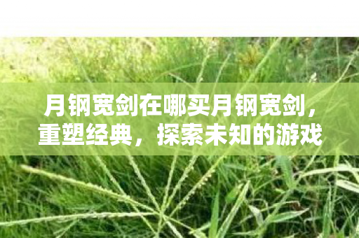 月钢宽剑在哪买月钢宽剑图片